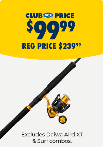 Daiwa Aird Saltwater Combos